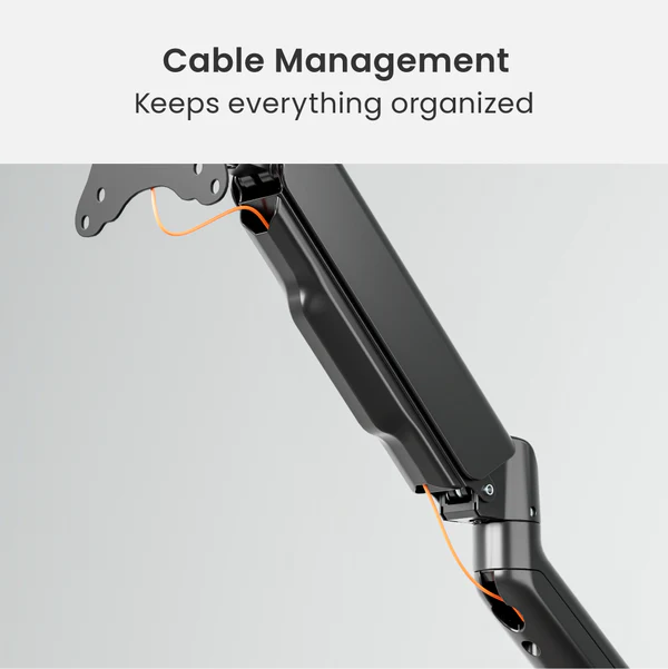 ELEMENTAL MONITOR ARMS (DUAL) thumbnail 3