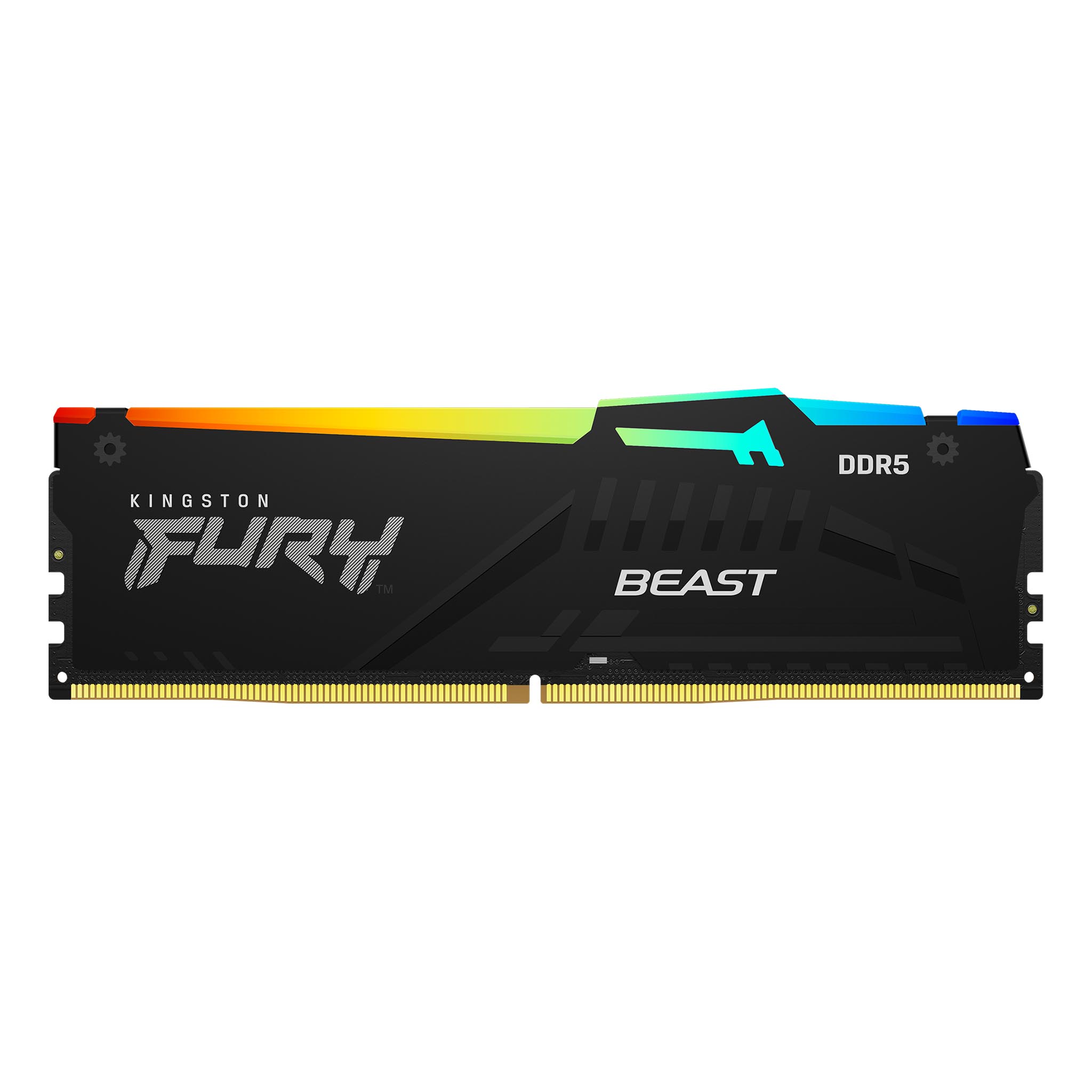 KINGSTON 32G(16G*2) 5600MT/S DDR5 CL36 FURY BEAST (RGB)